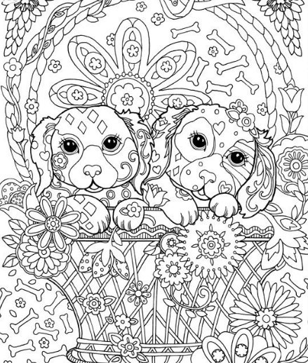 20+ Best Procreate Coloring Pages