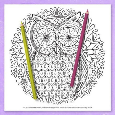 22 Procreate Friendly Coloring Pages for Adults