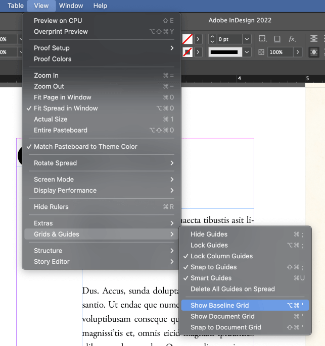 How To Use Baseline Grids In Adobe InDesign