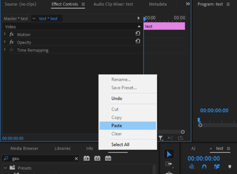 How to Blur in Adobe Premiere Pro (Quick Guide)