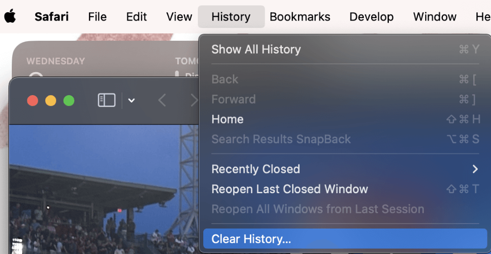 clear history on safari greyed out