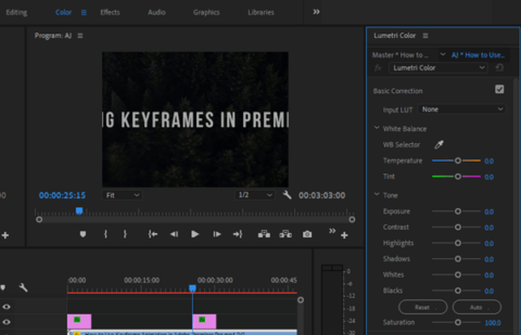 How to Color Grade in Adobe Premiere Pro