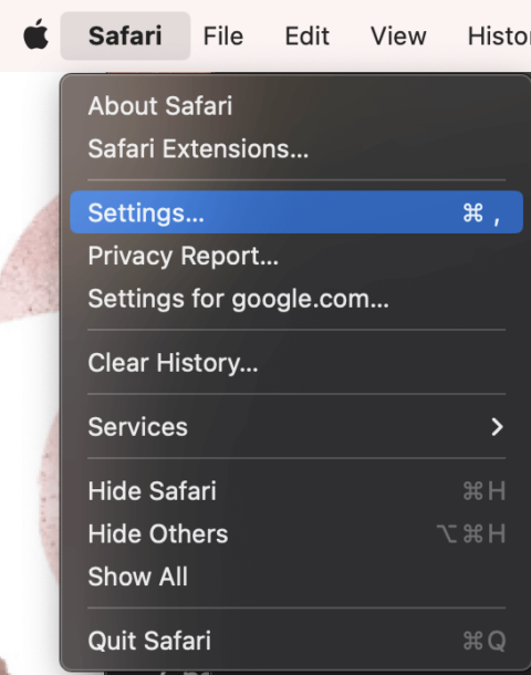 set google as homepage safari