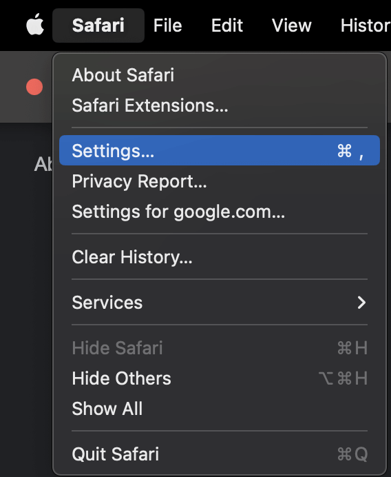 safari can't find server meaning