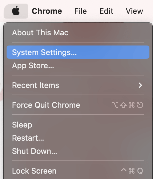 safari can't find server meaning