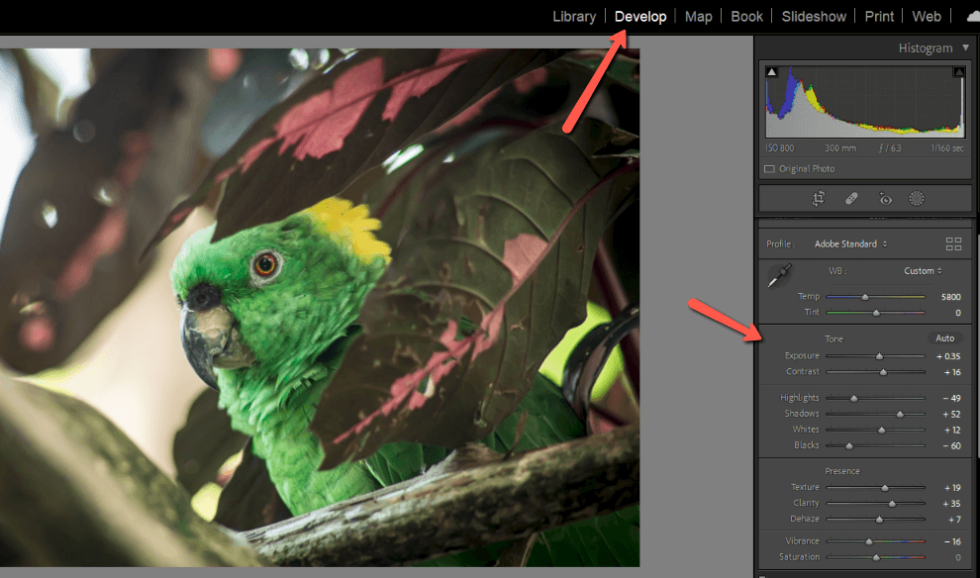 How To Create Your Own Preset In Adobe Lightroom