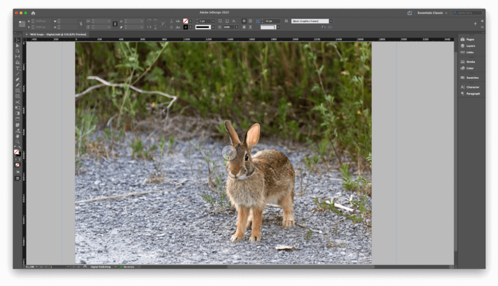 2-quick-ways-to-insert-an-image-in-adobe-indesign