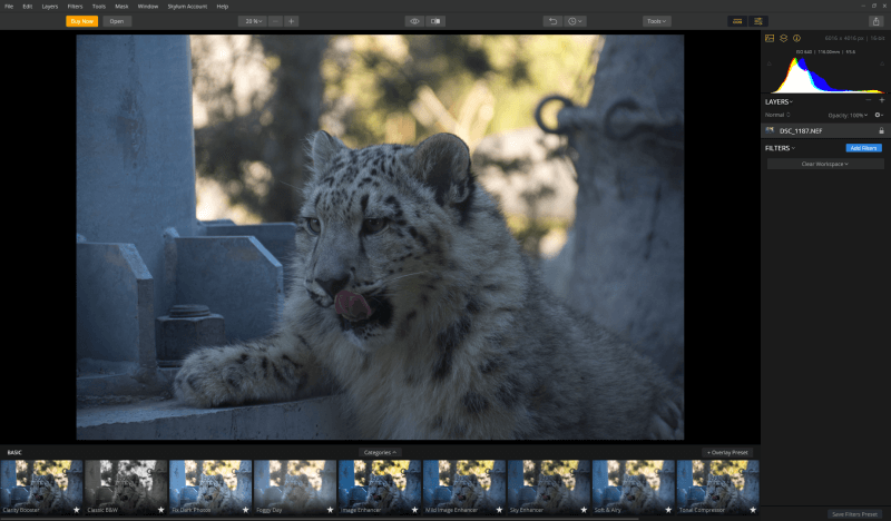 15 Best Photo Editing Software for Windows in 2022