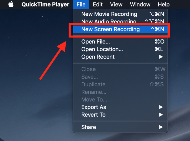 how to stop snagit video capture mac